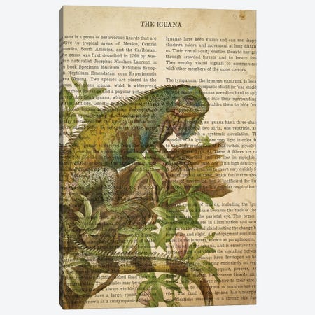 Vintage Iguana Print Canvas Print #ADP3294} by Aged Pixel Canvas Print