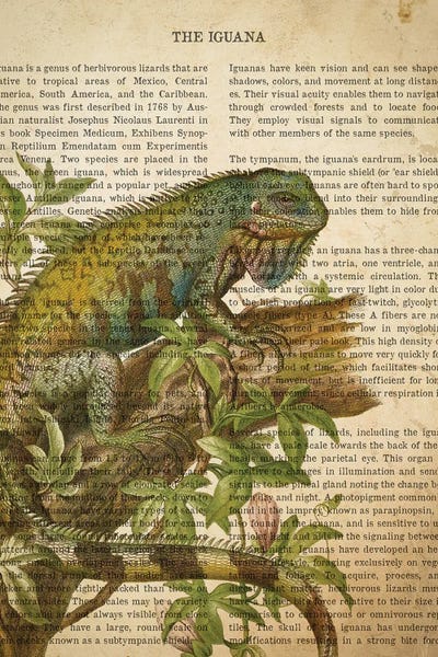 Iguanas: Vintage Iguana Print by Aged Pixel