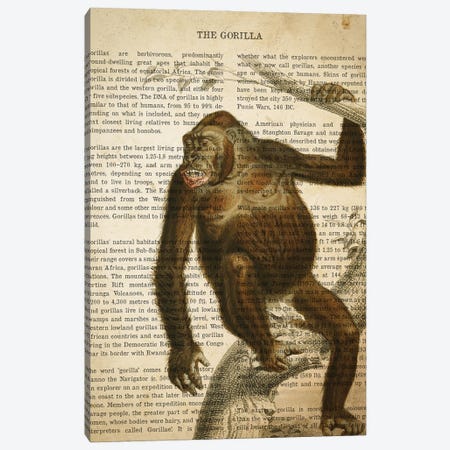 Vintage Gorilla Print Canvas Print #ADP3297} by Aged Pixel Art Print