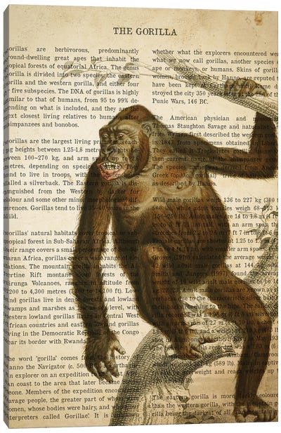 Vintage Gorilla Print Canvas Art Print - Gorilla Art