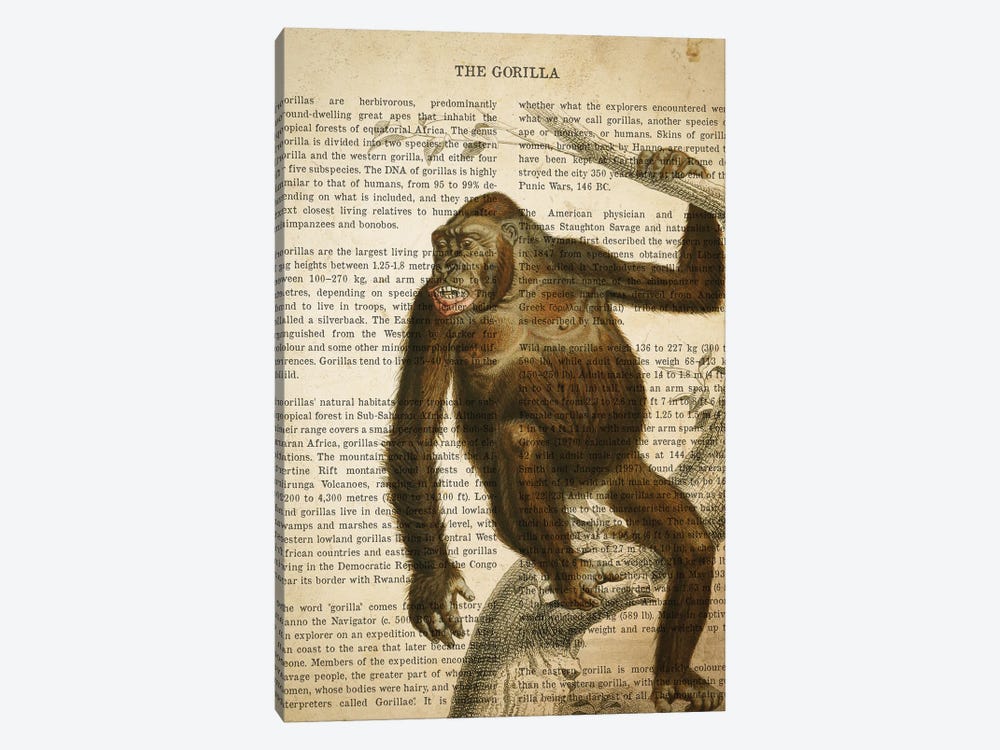 Vintage Gorilla Print by Aged Pixel 1-piece Art Print