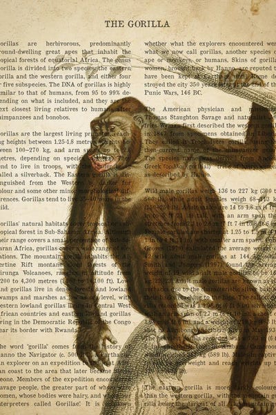 Gorillas: Vintage Gorilla Print by Aged Pixel