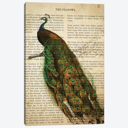 Vintage Peafowl Print Canvas Print #ADP3299} by Aged Pixel Canvas Artwork