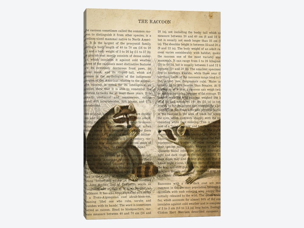 Vintage Raccoon Print by Aged Pixel 1-piece Art Print