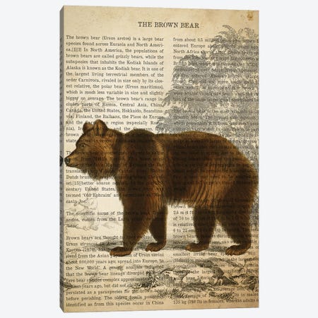 Vintage Brown Bear Print Canvas Print #ADP3304} by Aged Pixel Canvas Print