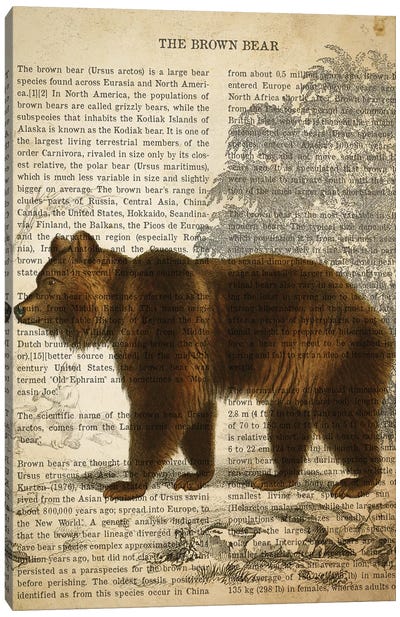 Vintage Brown Bear Print Canvas Art Print - Brown Bear Art
