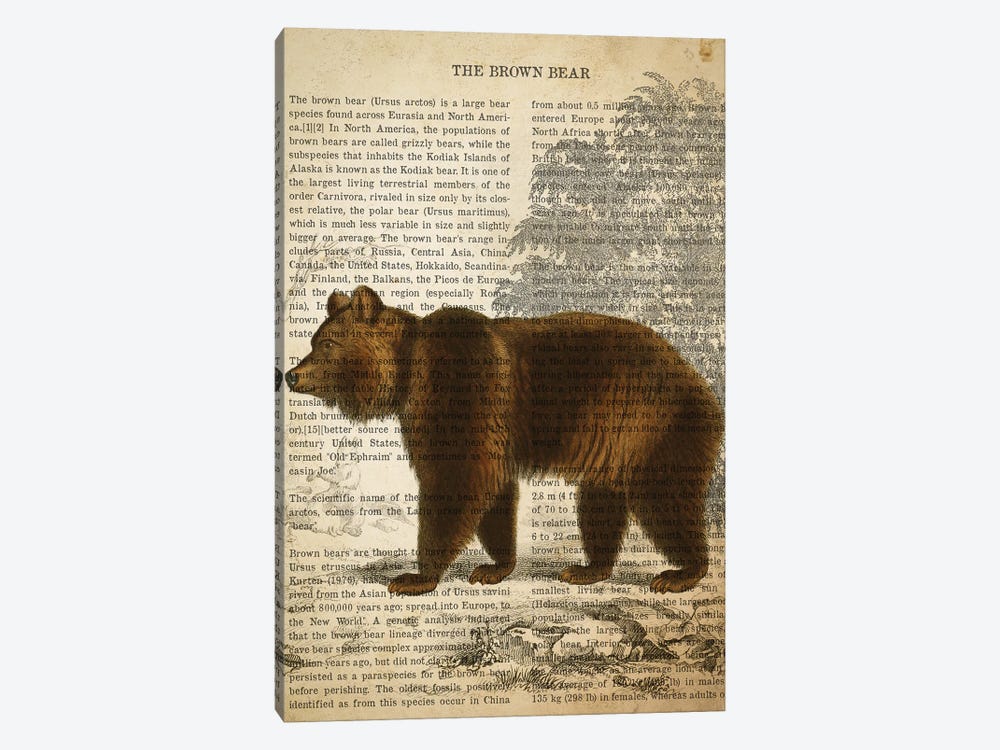 Vintage Brown Bear Print by Aged Pixel 1-piece Canvas Wall Art