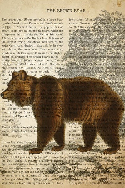 Vintage Animal Illustrations: Vintage Brown Bear Print by Aged Pixel