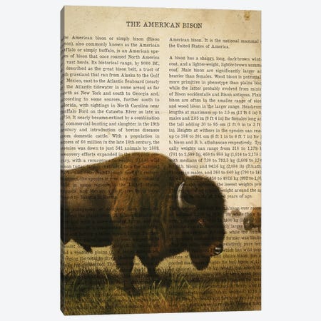 Vintage American Bison Print Canvas Print #ADP3305} by Aged Pixel Art Print