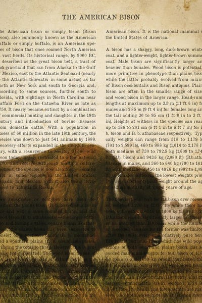 Vintage Animal Illustrations: Vintage American Bison Print by Aged Pixel