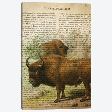 Vintage European Bison Print Canvas Print #ADP3306} by Aged Pixel Canvas Art Print