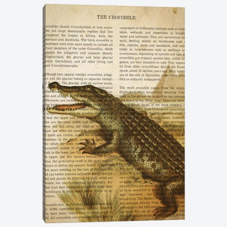 Vintage Crocodile Print Canvas Print #ADP3310} by Aged Pixel Canvas Art Print