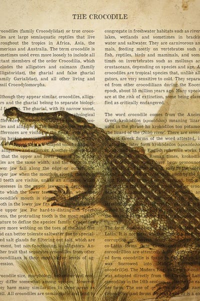 Alligators & Crocodiles: Vintage Crocodile Print by Aged Pixel