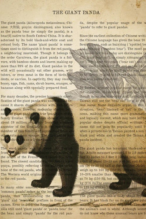 Vintage Giant Panda Print