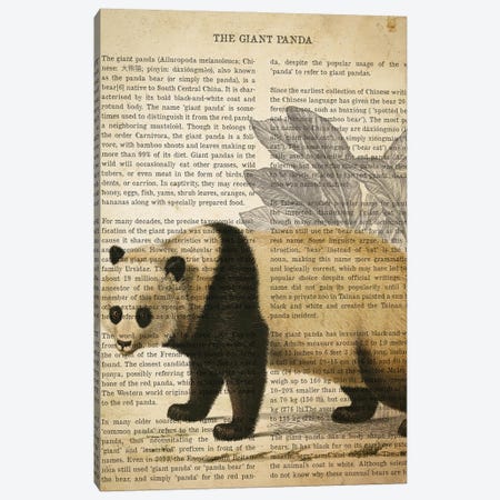 Vintage Giant Panda Print Canvas Print #ADP3313} by Aged Pixel Canvas Print