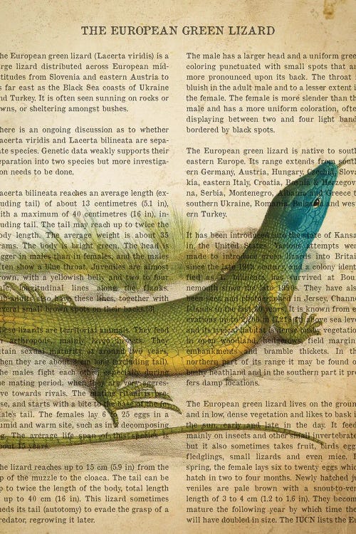 Vintage European Green Lizard Print