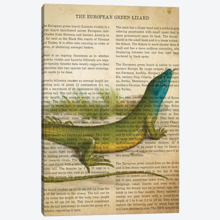 Vintage European Green Lizard Print Canvas Print #ADP3316} by Aged Pixel Canvas Artwork
