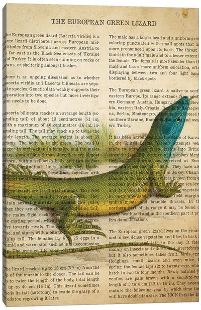Vintage European Green Lizard Print Canvas Art Print