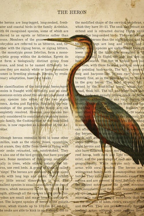 Vintage Heron Print