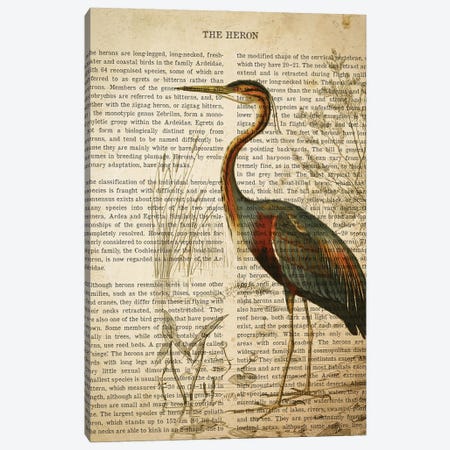 Vintage Heron Print Canvas Print #ADP3317} by Aged Pixel Canvas Artwork