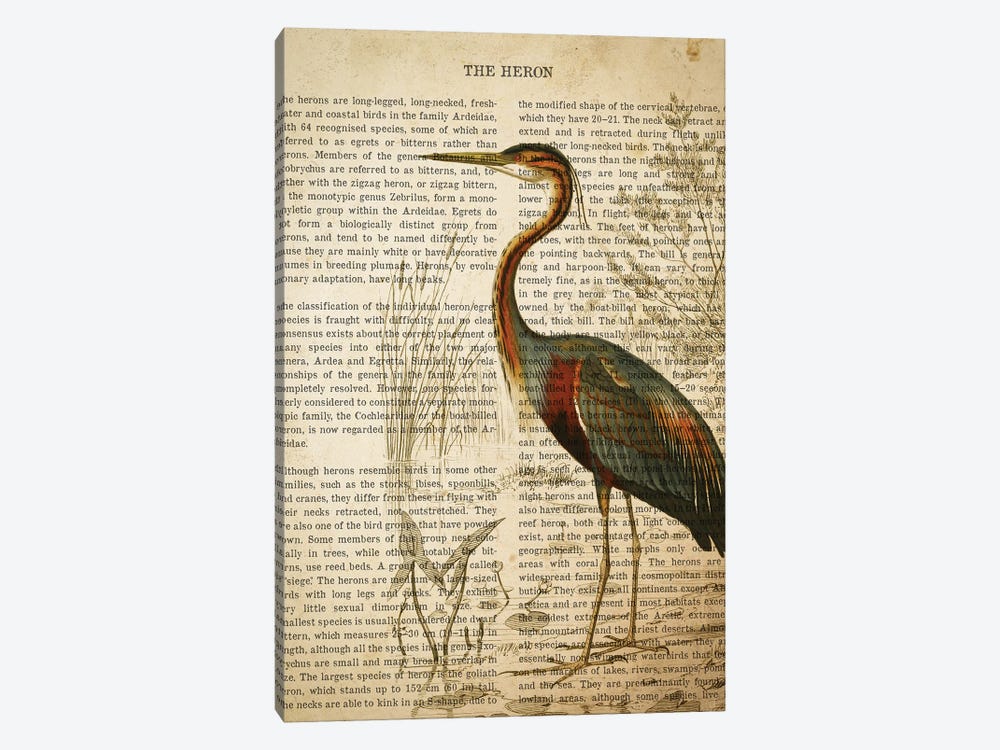 Vintage Heron Print by Aged Pixel 1-piece Canvas Wall Art