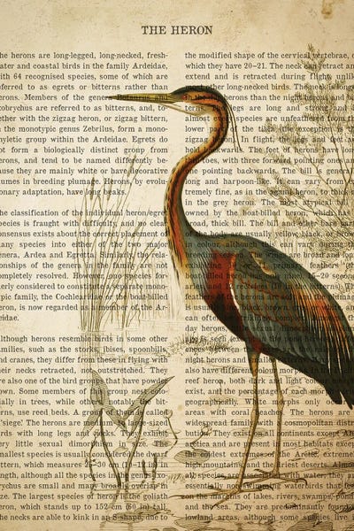 Aged Pixel: Vintage Heron Print by Aged Pixel