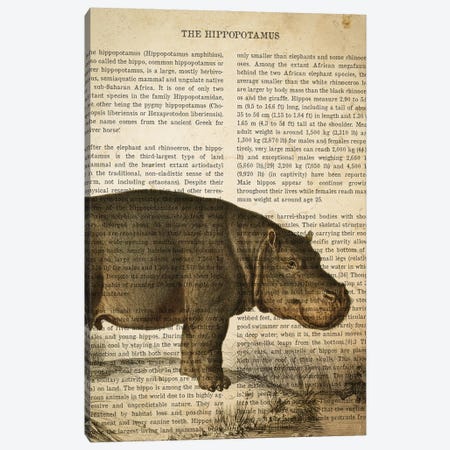Vintage Hippo Print Canvas Print #ADP3318} by Aged Pixel Art Print