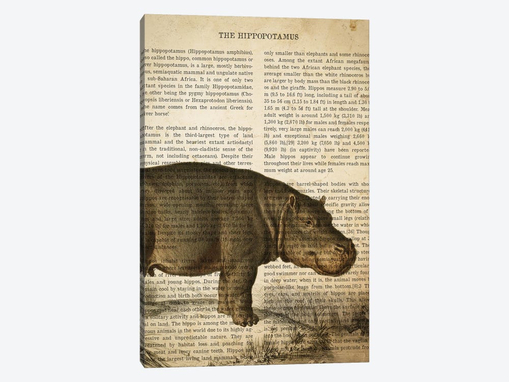 Vintage Hippo Print by Aged Pixel 1-piece Canvas Art Print