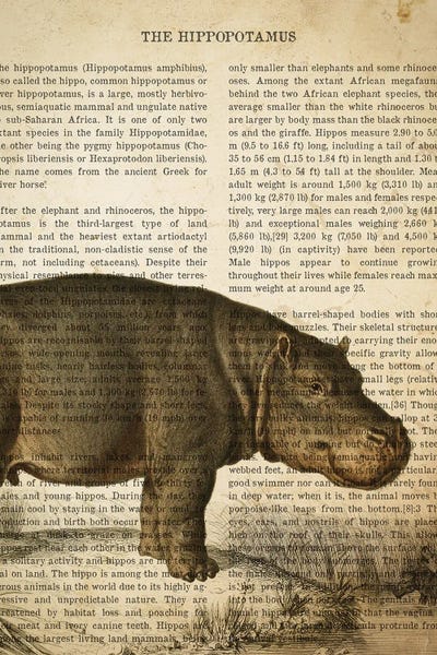 Hippopotamuses: Vintage Hippo Print by Aged Pixel