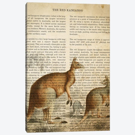 Vintage Kangaroo Print Canvas Print #ADP3319} by Aged Pixel Canvas Print