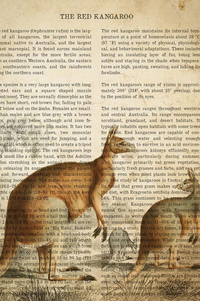 Kangaroos: Vintage Kangaroo Print by Aged Pixel