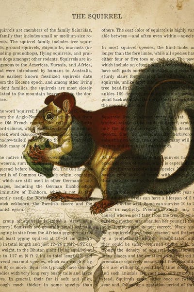 Vintage Squirrel Print by Aged Pixel metal wall art