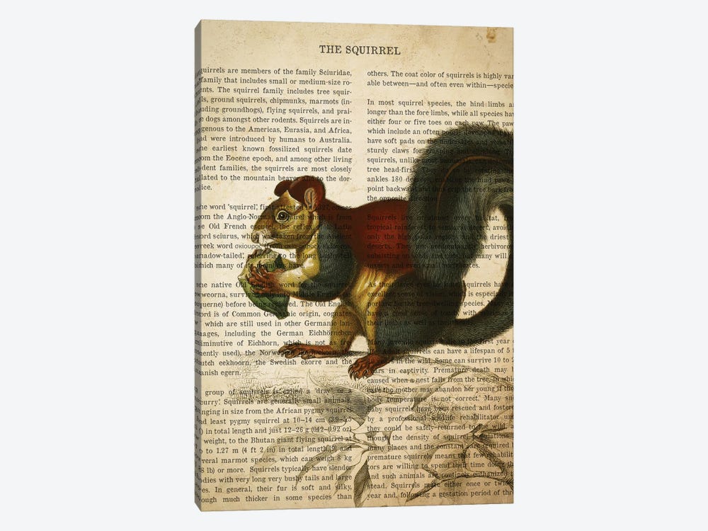 Vintage Squirrel Print by Aged Pixel 1-piece Canvas Print