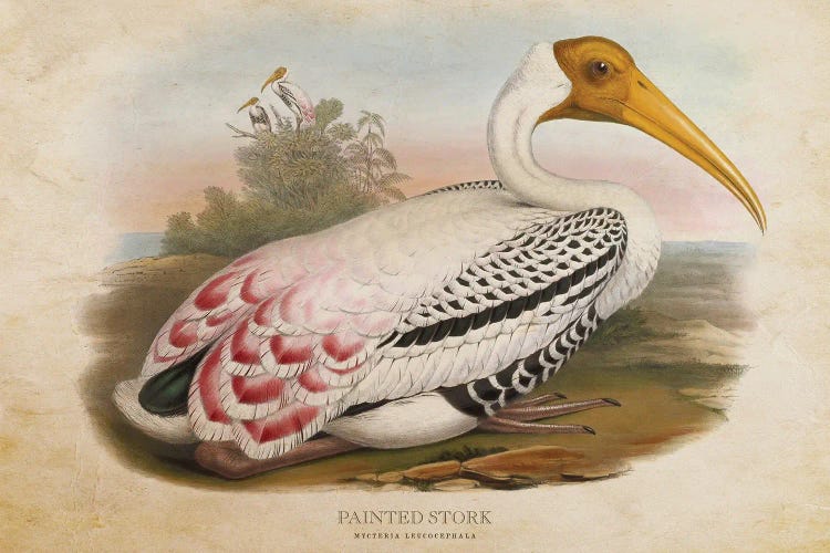 Vintage Painted Stork