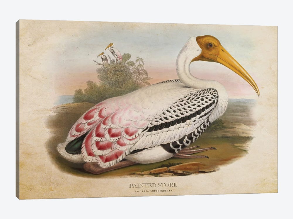 Vintage Painted Stork by Aged Pixel 1-piece Canvas Wall Art