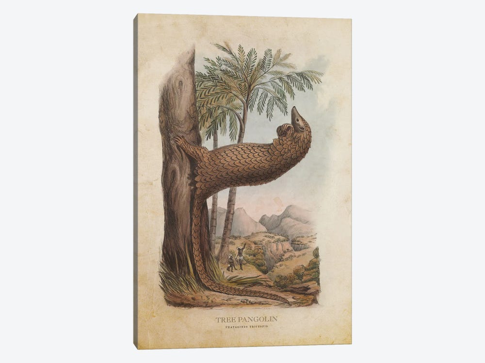 Vintage Tree Pangolin by Aged Pixel 1-piece Canvas Print
