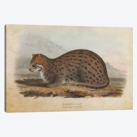 Vintage Fishing Cat Canvas Print #ADP3417} by Aged Pixel Canvas Art Print