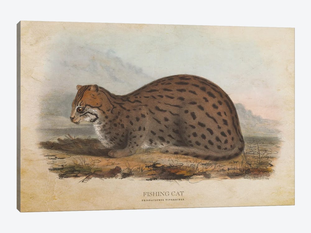 Vintage Fishing Cat by Aged Pixel 1-piece Art Print