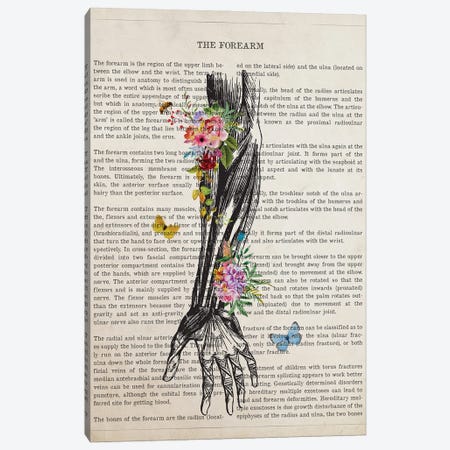 Human Forearm Anatomy Flower Canvas Print #ADP3486} by Aged Pixel Canvas Art