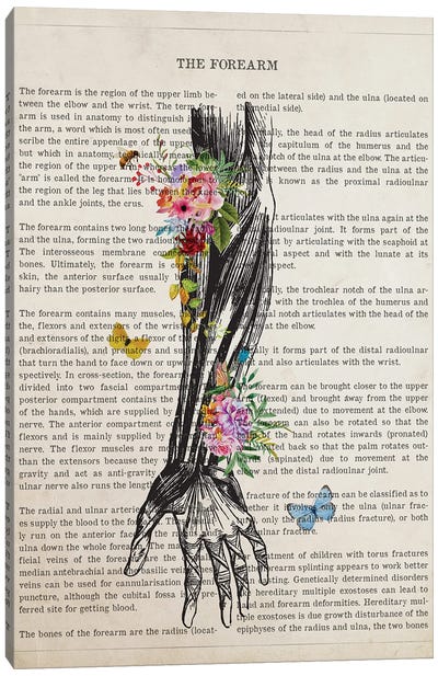 Human Forearm Anatomy Flower Canvas Art Print - Anatomy Art