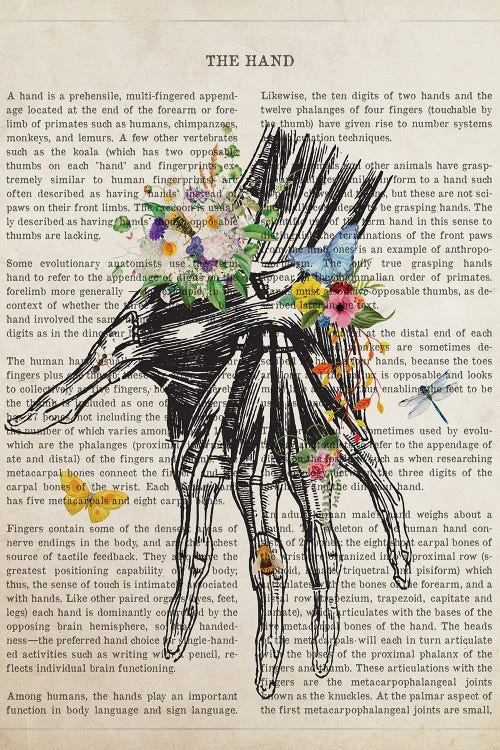 Hand Anatomy Flower