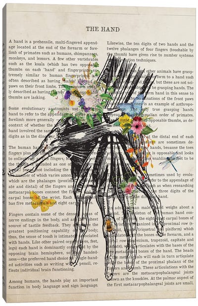 Hand Anatomy Flower Canvas Art Print - Anatomy Art