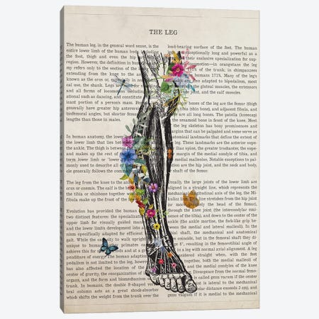 Human Leg Anatomy Flower Canvas Print #ADP3488} by Aged Pixel Canvas Print