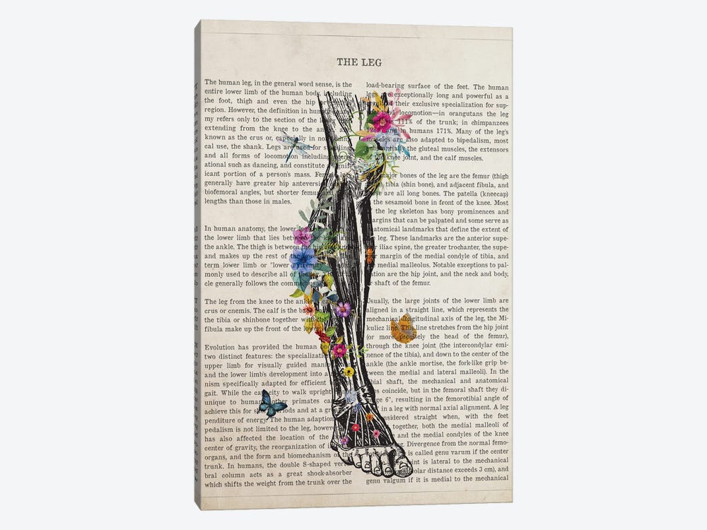Human Leg Anatomy Flower by Aged Pixel 1-piece Canvas Print