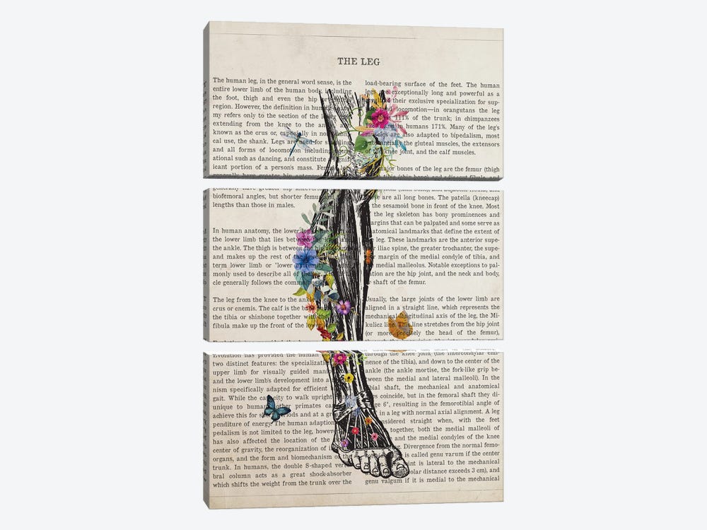 Human Leg Anatomy Flower by Aged Pixel 3-piece Canvas Art Print