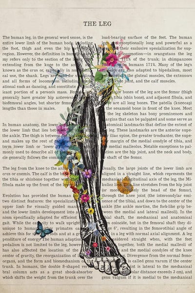 Biology: Human Leg Anatomy Flower by Aged Pixel