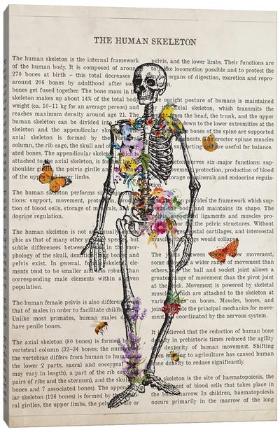 Skeleton Anatomy Flower Canvas Art Print - Skeleton Art