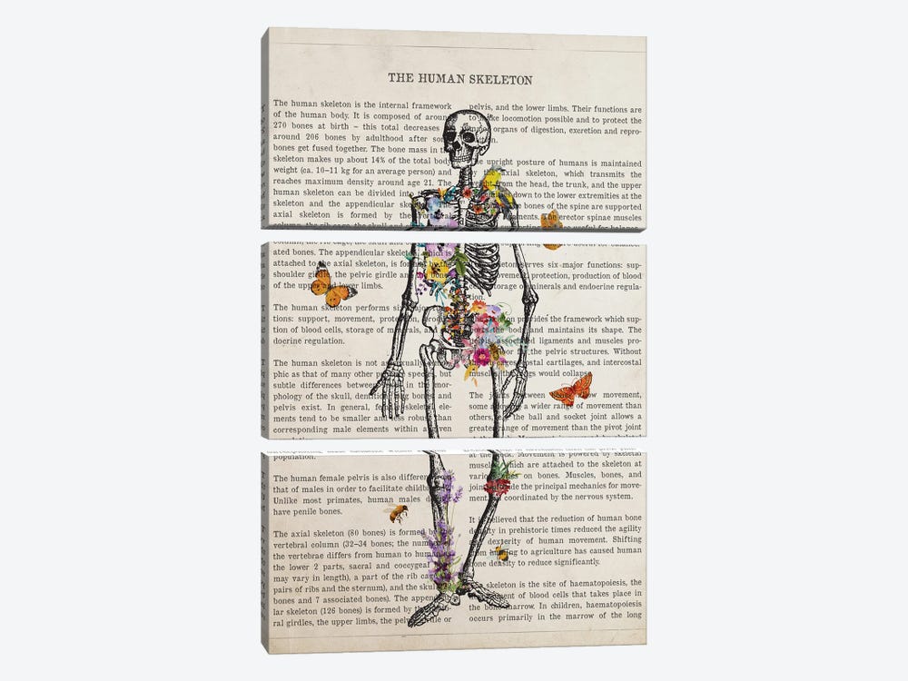 Skeleton Anatomy Flower by Aged Pixel 3-piece Canvas Art