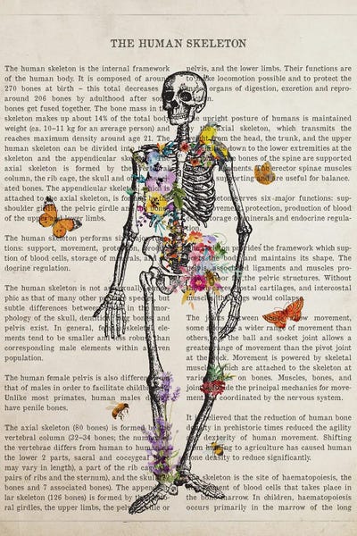 Skeletons: Skeleton Anatomy Flower by Aged Pixel