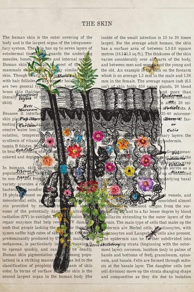 Biology: Skin Anatomy Flower by Aged Pixel